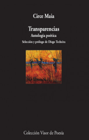 Libro TRANSPARENCIAS CIRCE MAIA