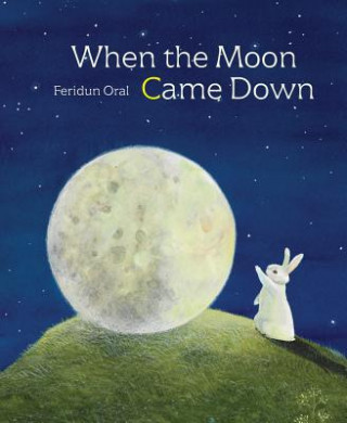 Carte When the Moon Came Down Feridun Oral