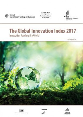 Kniha Global Innovation Index 2017 