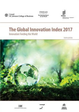 Buch Global Innovation Index 2017 