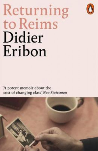 Kniha Returning to Reims Didier Eribon