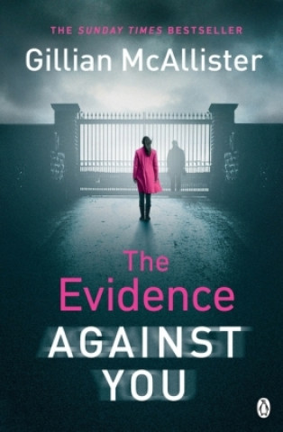 Könyv Evidence Against You Gillian McAllister
