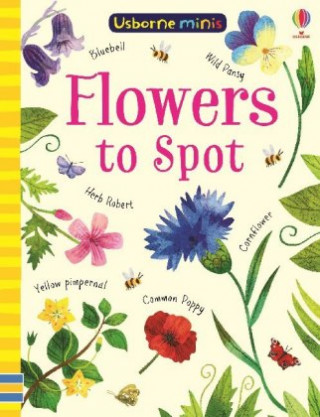 Kniha Flowers to Spot Sam Smith