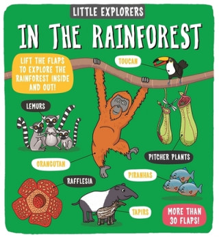 Книга Little Explorers: In the Rainforest Dynamo Ltd.