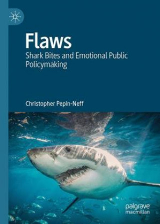 Knjiga Flaws Christopher L. Pepin-Neff