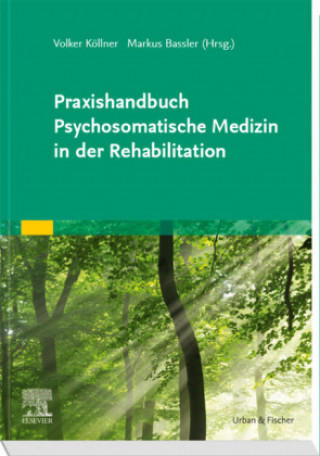 Kniha Praxishandbuch Psychosomatische Medizin in der Rehabilitation Volker Köllner