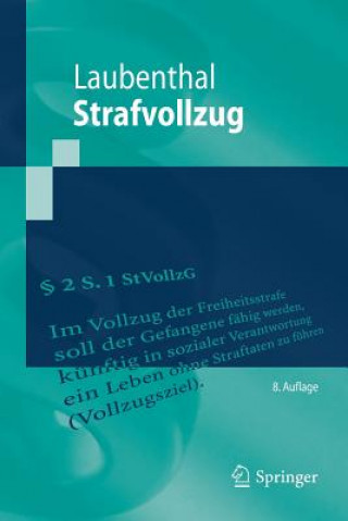 Book Strafvollzug Klaus Laubenthal