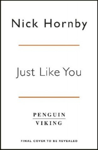 Book Just Like You NICK HORNBY