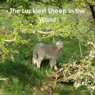 Carte Luckiest Sheep in the World C L WORLEY