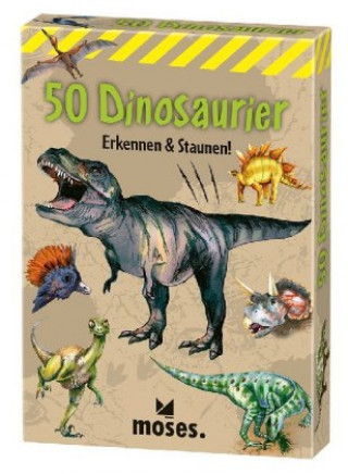 Játék 50 Dinosaurier Carola von Kessel
