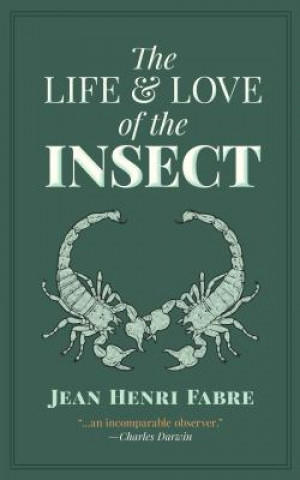 Könyv Life and Love of the Insect JeanHenri Fabre