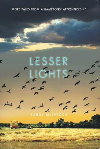 Book Lesser Lights Sandy McIntosh