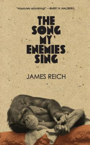 Kniha Song My Enemies Sing Reich