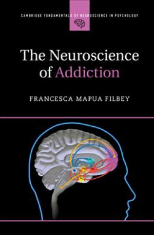 Книга Neuroscience of Addiction Francesca Filbey