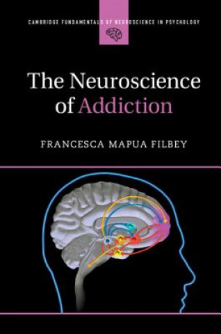 Kniha Neuroscience of Addiction Filbey