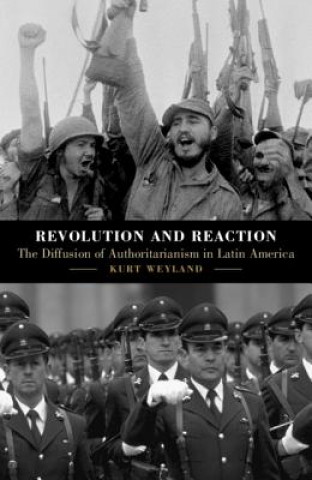 Könyv Revolution and Reaction Weyland