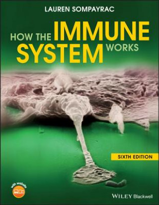 Carte How the Immune System Works, Sixth Edition Lauren M. Sompayrac