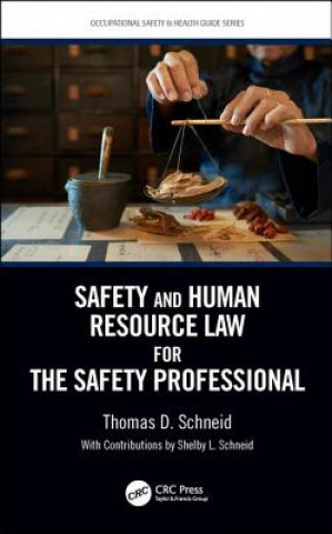 Книга Safety and Human Resource Law for the Safety Professional Schneid
