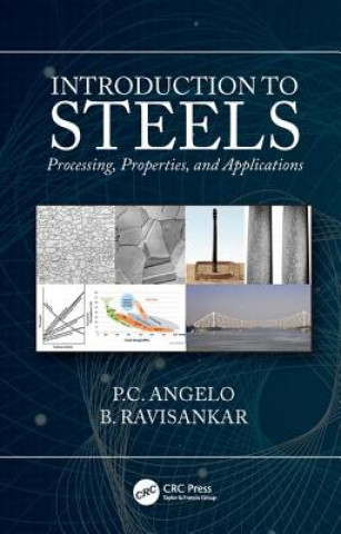 Libro Introduction to Steels Angelo