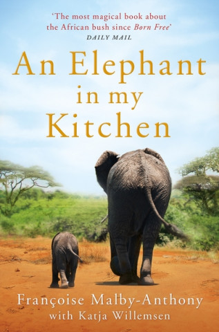 Carte Elephant in My Kitchen Francoise Malby-Anthony
