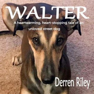 Book Walter Derren Riley