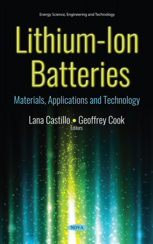 Könyv Lithium-Ion Batteries 