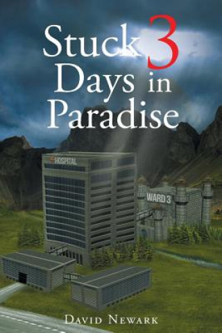 Könyv Stuck 3 Days In Paradise DAVID NEWARK