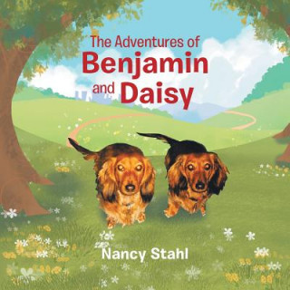 Kniha Adventures of Benjamin and Daisy NANCY STAHL