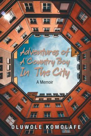 Kniha Adventures of a Country Boy in the City: A Memoir Oluwole Komolafe