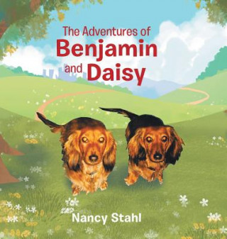 Kniha Adventures of Benjamin and Daisy NANCY STAHL