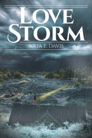 Książka Love Storm JULIA E. DAVIS