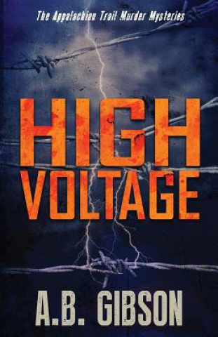 Book High Voltage A B Gibson