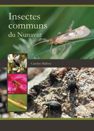 Kniha Insectes communs du Nunavut Carolyn Mallory