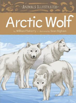 Kniha Animals Illustrated: Arctic Wolf William Flaherty