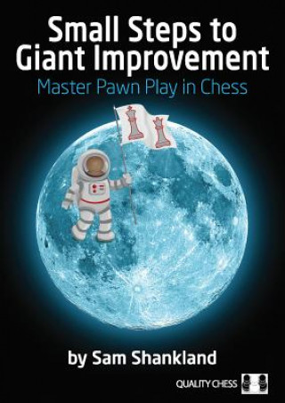 Книга Small Steps to Giant Improvement Sam Shankland