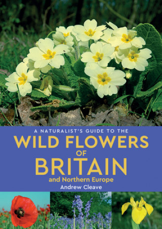 Kniha Naturalist's Guide to the Wild Flowers of Britain and Northern Europe (2nd edition) Andrew Cleave