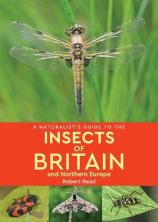 Книга Naturalist's Guide to the Insects of Britain and Northern Europe (2nd edition) Robert Read