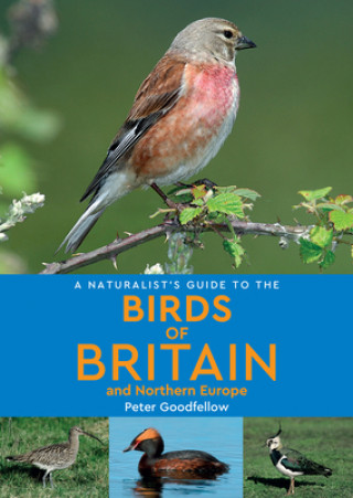 Kniha Naturalist's Guide to the Birds of Britain and Northern Europe (2nd edition) Peter Goodfellow