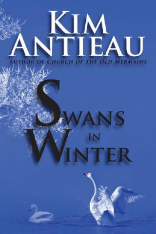 Book Swans in Winter Kim Antieau
