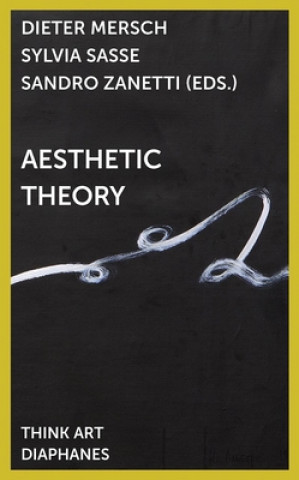 Kniha Aesthetic Theory Sandro Zanetti