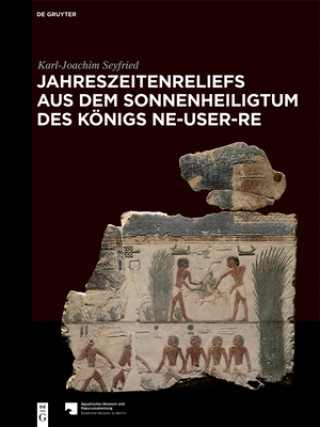 Buch Jahreszeitenreliefs aus dem Sonnenheiligtum des Königs Ne-User-Re Karl-Joachim Seyfried