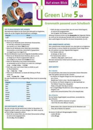 Kniha Green Line 5 G9 Klasse 9 Auf einen Blick. Grammatik passend zum Schulbuch Harald Weisshaar