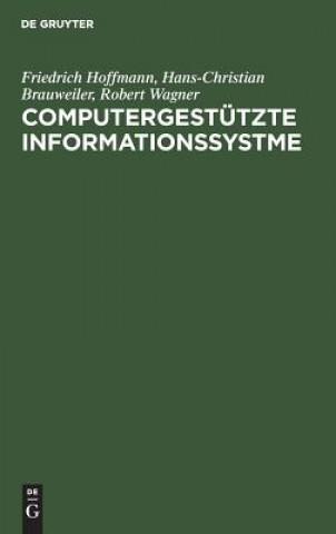 Könyv Computergestutzte Informationssystme Friedrich Hoffmann