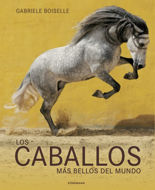 Carte Horses of the world EDITION BOISELLE