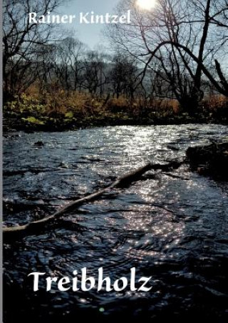 Book Treibholz Rainer Kintzel