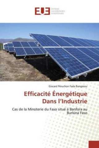 Kniha Efficacité Énergétique Dans l'Industrie Giscard Péruchon Fada Bangmou