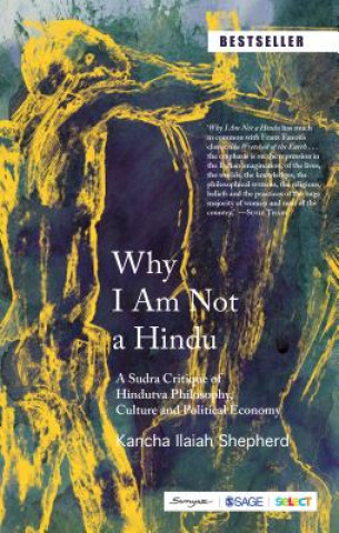 Carte Why I Am Not a Hindu Kancha Ilaiah Shepherd