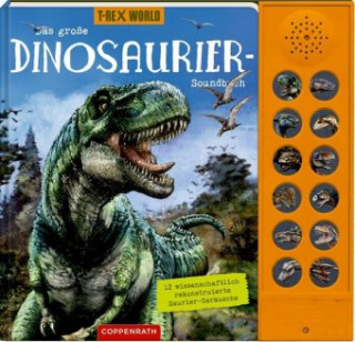 Könyv Das große Dinosaurier-Soundbuch Barbara Wernsing