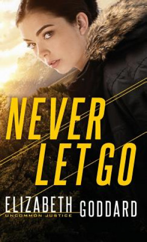 Book Never Let Go Elizabeth Goddard