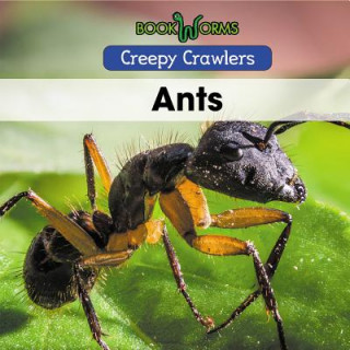 Knjiga Ants Anika Abraham